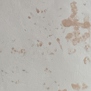 汽水味云下的心动