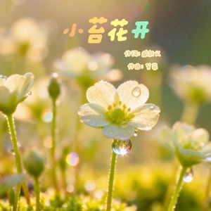 小苔花开