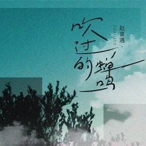 吹过的蝉鸣 (和声伴奏)