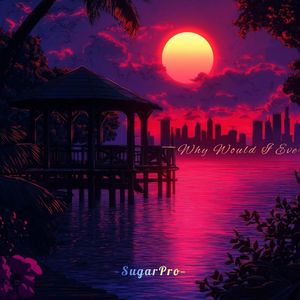 Why Would I Ever（SugarPro Remix）