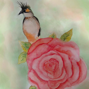 Derdim Çoktur Hangisine Yanayım (Live)