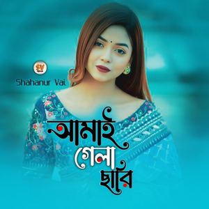 আমাই গেলা ছারি