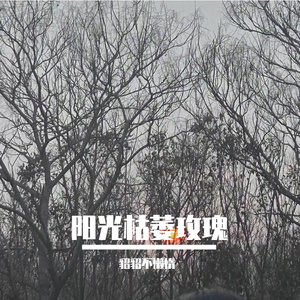 阳光枯萎玫瑰（Prod.by Morrow）