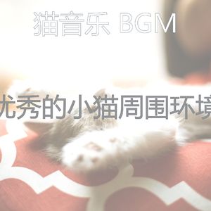 柔和的小猫时刻