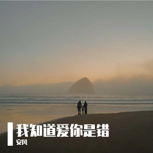 我知道爱你是错