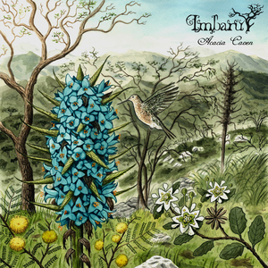 Preludio a Acacia Caven