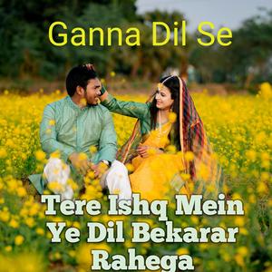 Tere Ishq Mein Ye Dil