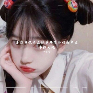 车载重低音立体声环绕全伤感中文串烧大碟