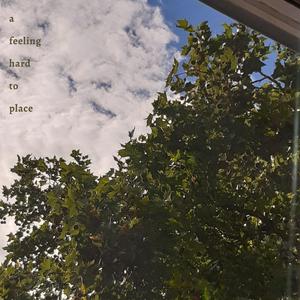 katie (demo)
