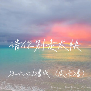 请你别走太快 (3D环绕版)