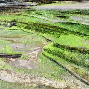 小雨和她的好朋友晓龙瞎胡闹的歌