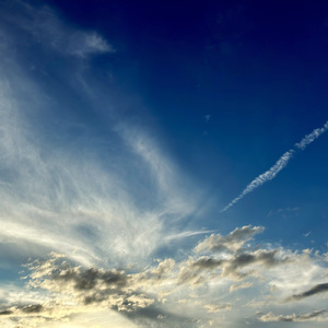 20240908 (Live at 長野県伊那文化会館, 2025)