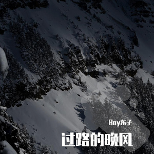 过路的晚风（Redo：海来阿木 | Boy东子 remix）