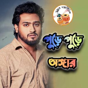 পুড়ে পুড়ে অঙ্গার হইলাম
