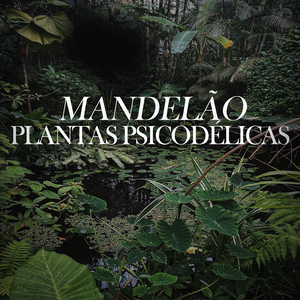 MANDELÃO PLANTAS PSICODÉLICAS