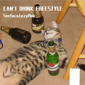 CAN'T DRINK FREESTYLE