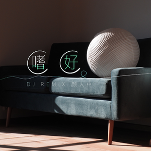 颜人中-嗜好（DJ版）