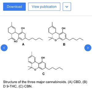 CBD(Remix) (feat. Red Eye & D.O)