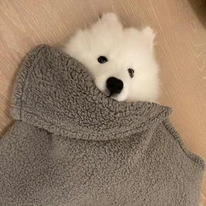 我想我不够好（翻自 单色凌）