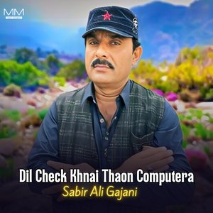 Dil Check Khnai Thaon Computera