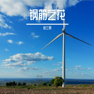 钢筋之花