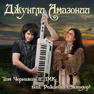 Джунгли Амазонии