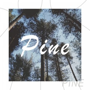Pine