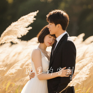 风里的告别