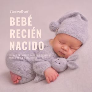Érase una Vez un Bebé