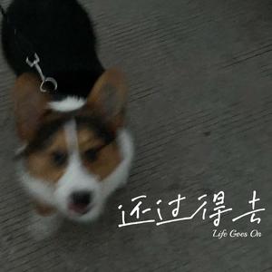 怎么我睡不着你也不来救我