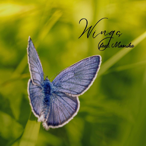 Wings (Live) [feat. Moonika]