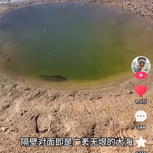 浅水鱼儿盼沧海台湾民众盼回大陆