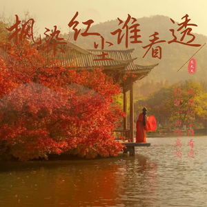 枫染红尘谁看透