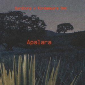 Apalara (feat. Kindamoore omt)