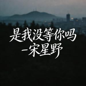 是我没等你吗