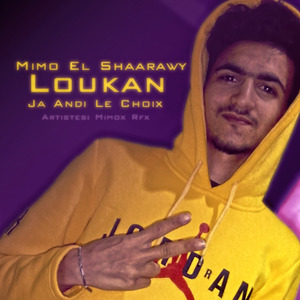 Loukan Ja Andi Le Choix