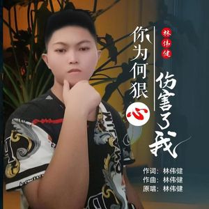 你为何狠心伤害了我 伴奏