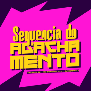 SEQUENCIA DO AGACHAMENTO