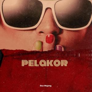 PeLaKor