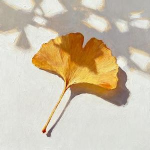 锦月书 (Cover 张紫宁)