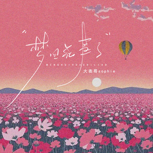 梦回花事了 (烟嗓版伴奏)