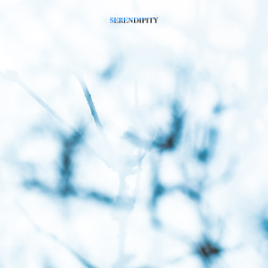 Serendipity