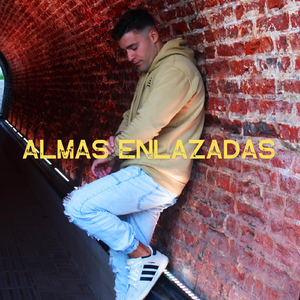 Almas Enlazadas