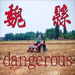 魏县（dangerous）