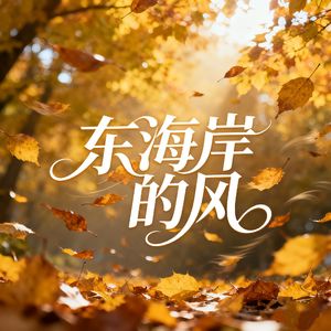 东海岸的风