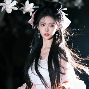 念琵琶 (停顿卡点DJ)