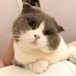 我在看你 你不知道