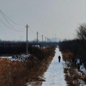 北方的冬天没有音乐