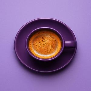 Light Falls On The Record