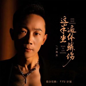 这半生遍体鳞伤-DJ九零版